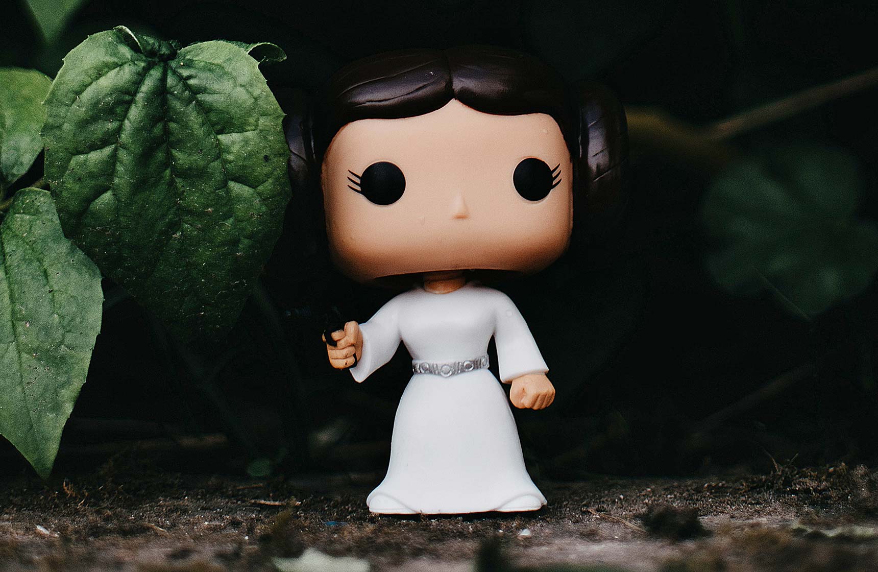 Feel the Force – How Did I Get to Launch My New Business Venture?